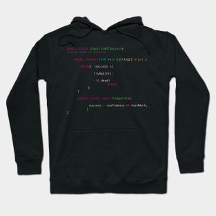 Source code to success - software sports wealth Hoodie